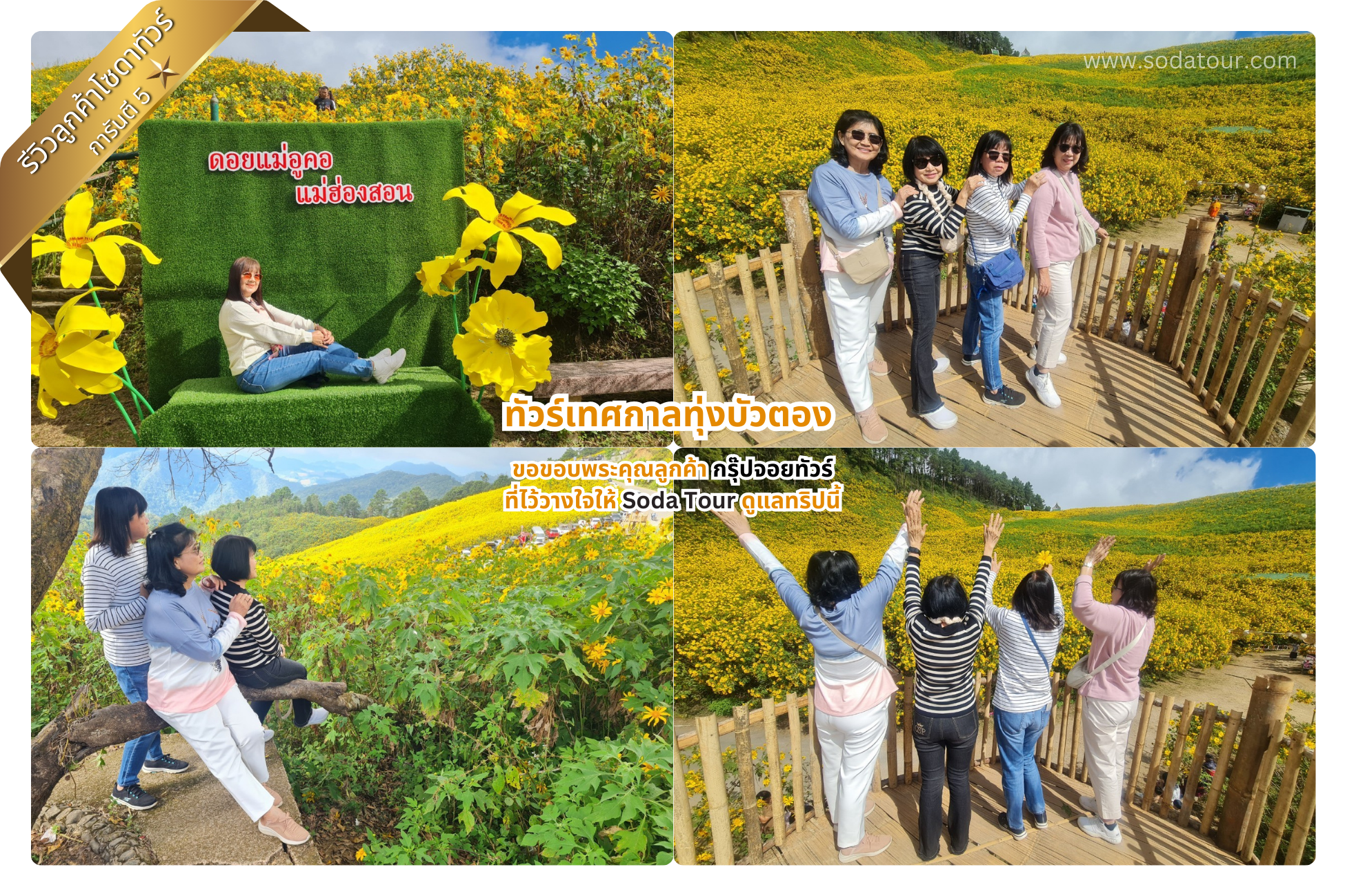 ทัวร์เทศกาลทุ่งบัวตอง จอยทัวร์