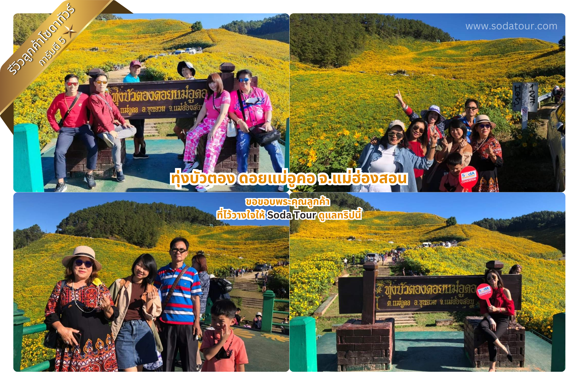 ทุ่งบัวตอง ดอยแม่อูคอ จ.แม่ฮ่องสอน