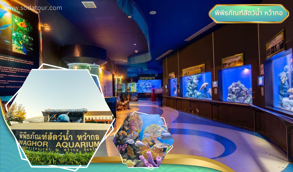 พิพิธภัณฑ์สัตว์น้ำ หว้ากอ