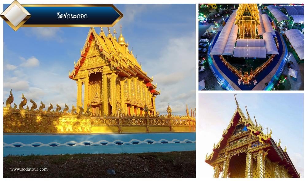 วัดท่ามะกอก