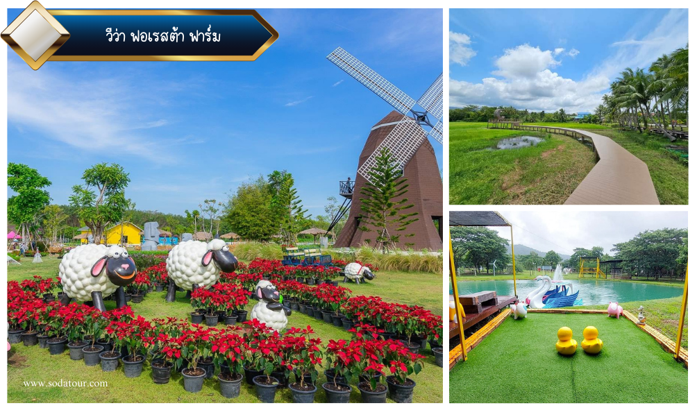 วีว่า ฟอเรสต้า ฟาร์ม