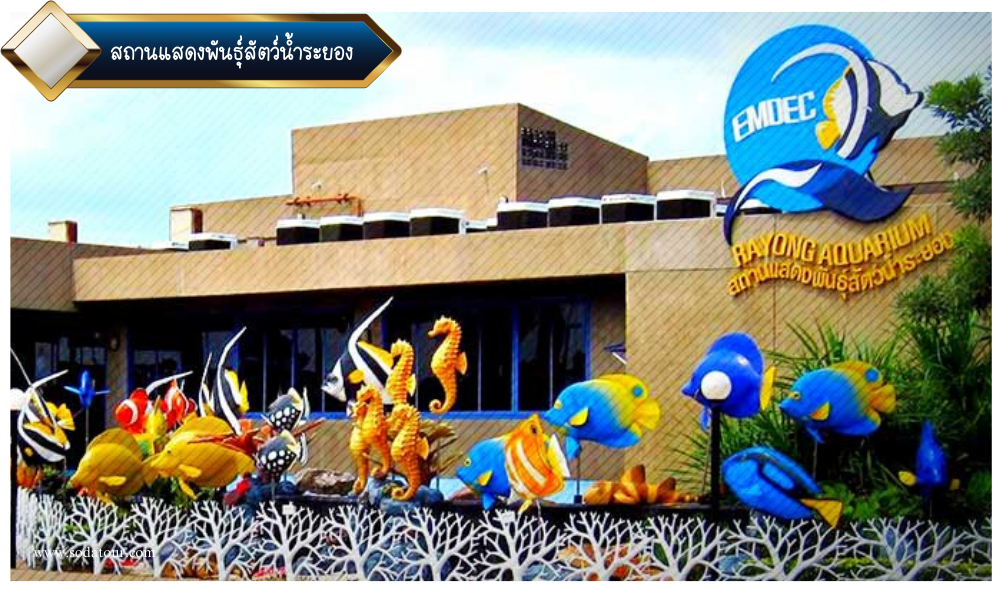สถานแสดงพันธุ์สัตว์น้ำระยอง
