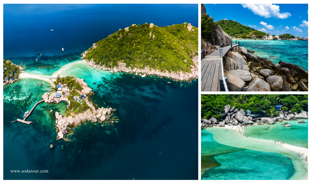 เกาะเต่าและเกาะนางยวน