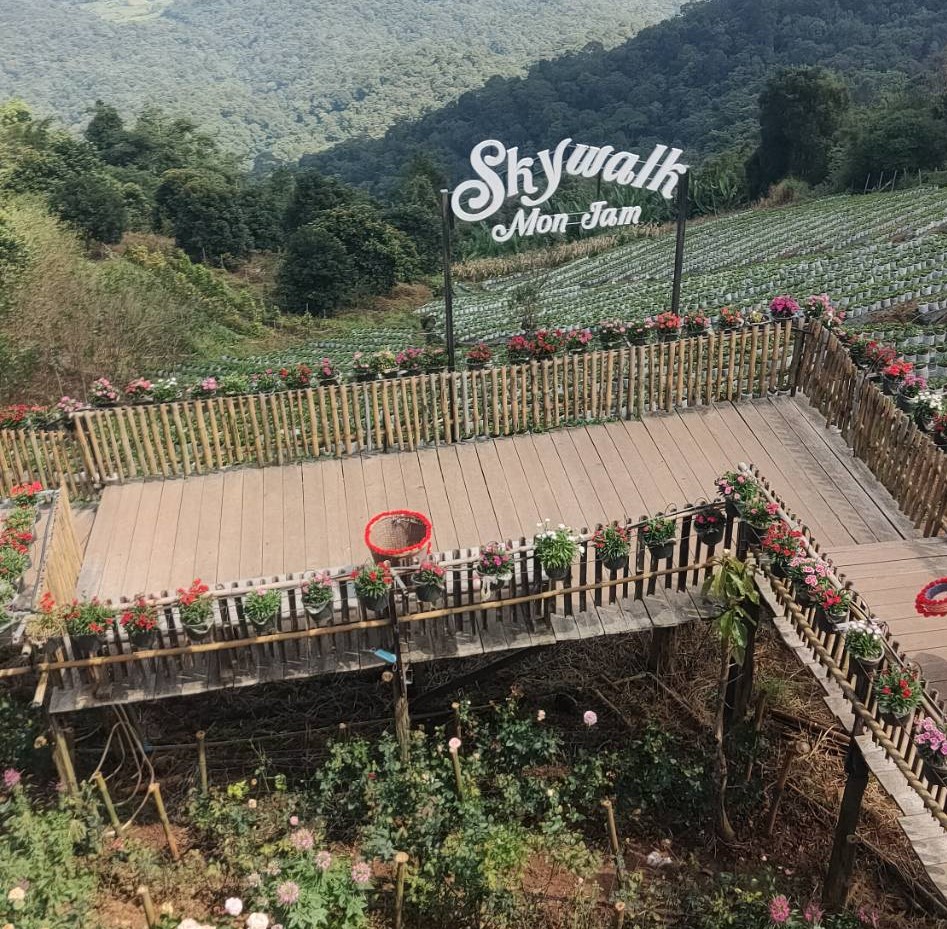 ทัวร์ดอยอินทนนท์ บริษัท ซองเซน ฯ, Soda Tour โซดาทัวร์,