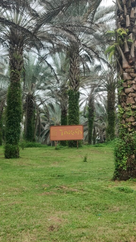 เชียงใหม่ 3 วัน 2 คืน จอยทัวร์, Soda Tour โซดาทัวร์,