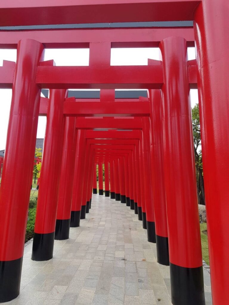 เชียงใหม่ 3 วัน 2 คืน จอยทัวร์, Soda Tour โซดาทัวร์,