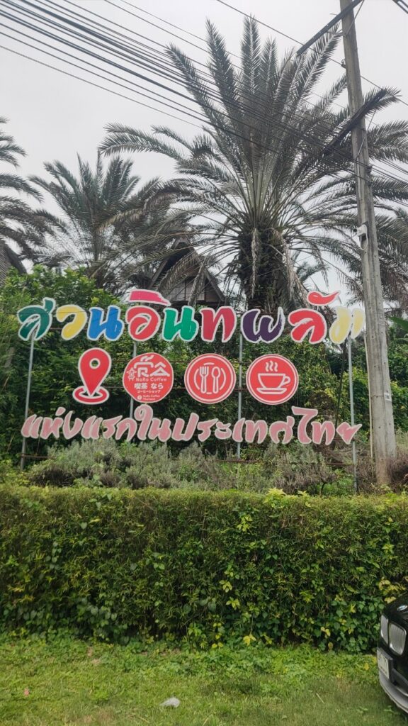 เชียงใหม่ 3 วัน 2 คืน จอยทัวร์, Soda Tour โซดาทัวร์,