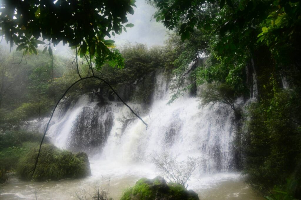 ทัวร์อุ้มผาง น้ำตกทีลอซู 3 วัน 2 คืน AGC, Soda Tour โซดาทัวร์,