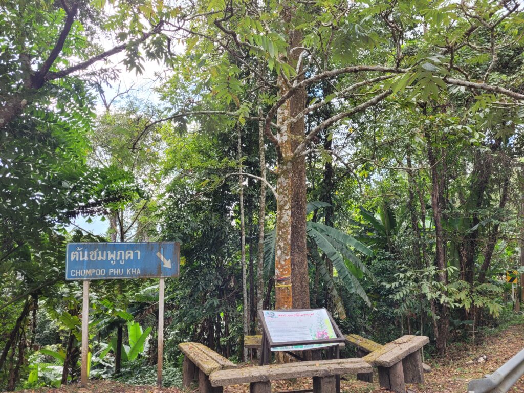 น่าน 3 วัน 2 คืน กสท.โทรคมนาคม, Soda Tour โซดาทัวร์,