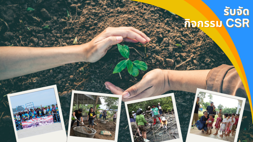 เกี่ยวกับเรา, Soda Tour โซดาทัวร์,