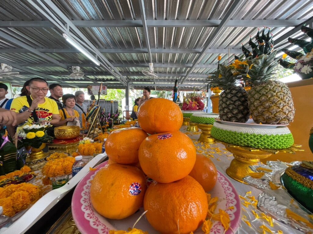 ถ้านาคา อุดร บึงกาฬ นครพนม 3 วัน 2 คืน จอยทัวร์, Soda Tour โซดาทัวร์,