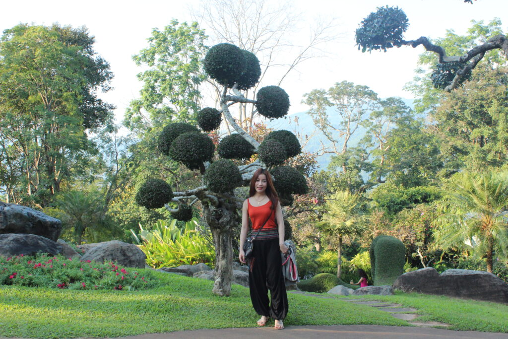 เชียงราย 3 วัน 2 คืน, Soda Tour โซดาทัวร์,