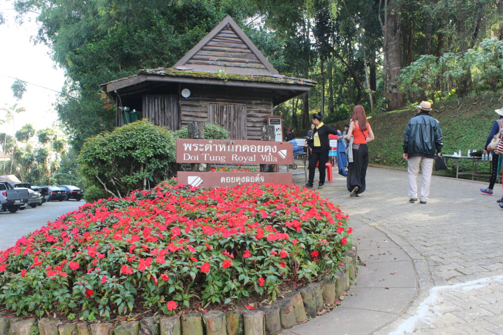 เชียงราย 3 วัน 2 คืน, Soda Tour โซดาทัวร์,