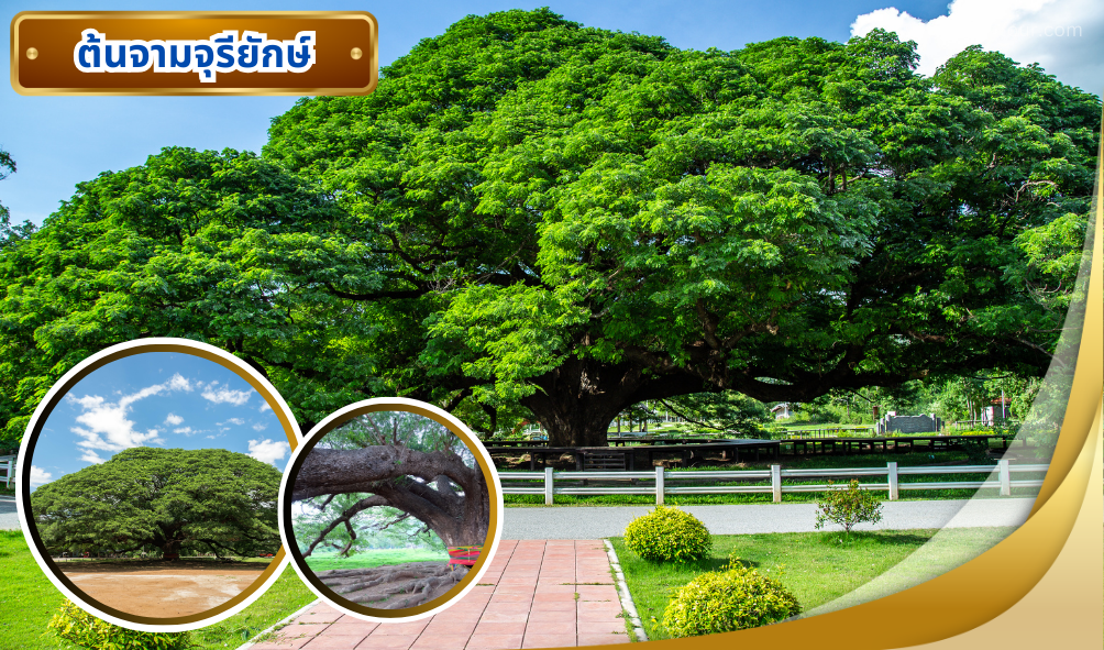 กาญจนบุรี พร้อมกิจกรรม 3 วัน 2 คืน, Soda Tour โซดาทัวร์, กาญจนบุรี พร้อมกิจกรรม 3 วัน 2 คืน