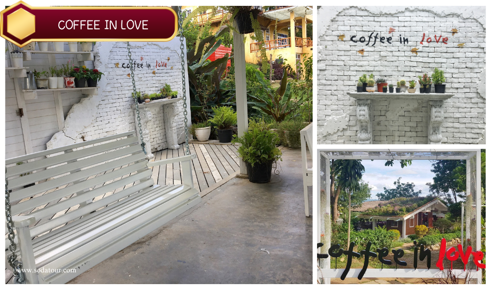 โปรแกรมทัวร์ บ้านรักไทย ปาย - แม่ฮ่องสอน 3 วัน 2 คืน (Private Group), Soda Tour โซดาทัวร์, บ้านรักไทย ปาย แม่ฮ่องสอน 3 วัน 2 คืน