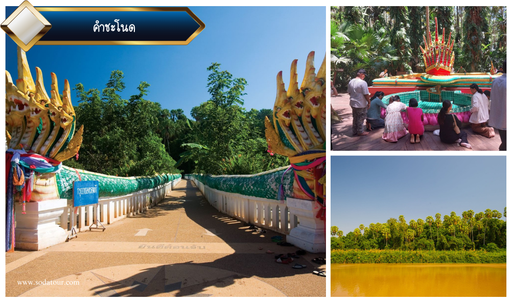 พืชสวนโลก - อุดรธานี - บึงกาฬ 3 วัน 2 คืน, Soda Tour โซดาทัวร์, พืชสวนโลก