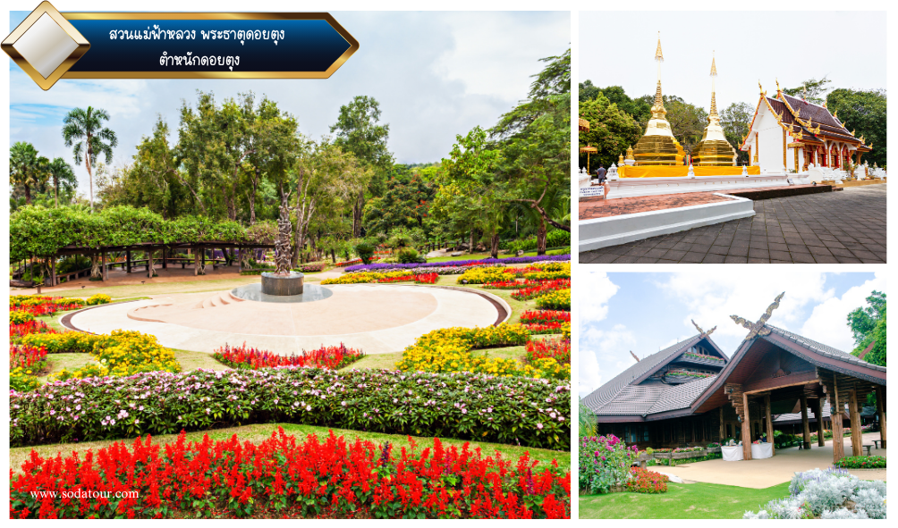เชียงราย 3 วัน 2 คืน, Soda Tour โซดาทัวร์, เชียงราย 3 วัน 2 คืน