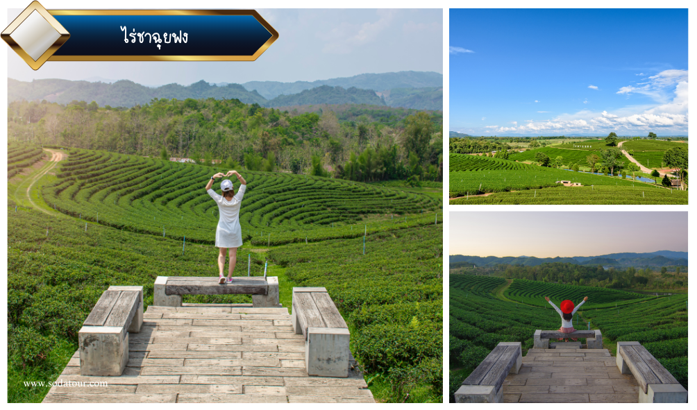 เชียงราย 3 วัน 2 คืน, Soda Tour โซดาทัวร์, เชียงราย 3 วัน 2 คืน